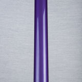 Spector USA NS-2 Electric Bass Guitar - Scary Burst