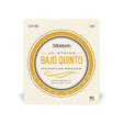 D'Addario EJ85 Bajo Quinto 10 String Set