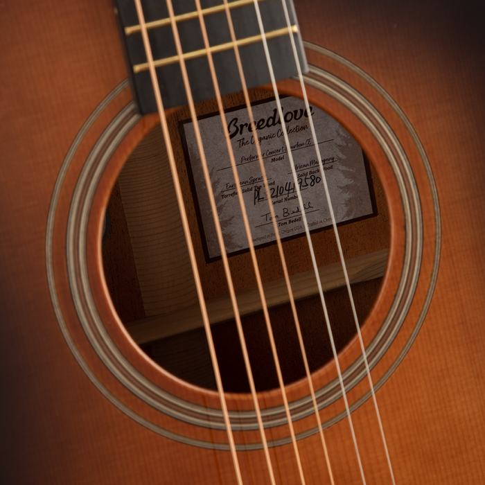 Breedlove Performer Concert Bourbon CE Acoustic Guitar - Bourbon Burst High Gloss - New