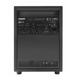Fishman SA Sub 300W Subwoofer - New