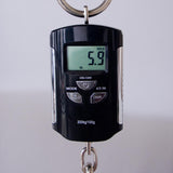 Gibson Les Paul Junior Electric Guitar - Vintage Tobacco Sunburst - #227440361