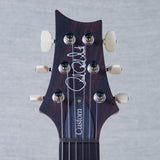 PRS Custom 24 10-Top Solid Body Electric Guitar - Aurora Borealis - #0410275