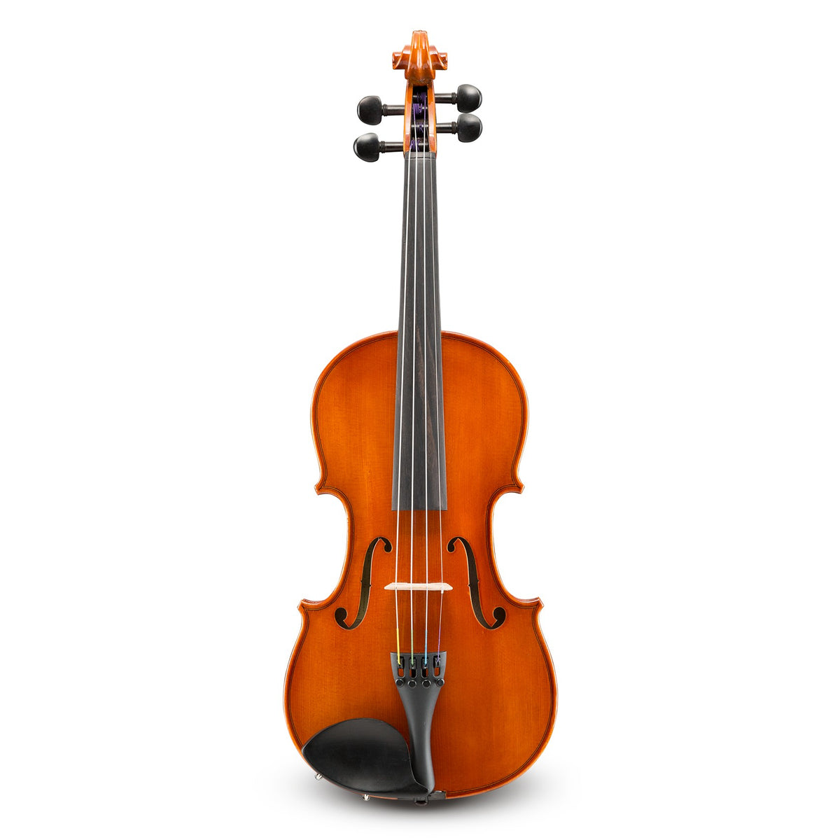 Eastman Strings Model 80 Student Violin Outfit - 3/4 Size
