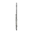 Di Zhao DZ 100COA Student Flute