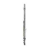 Di Zhao DZ 100COA Student Flute