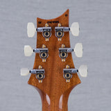 PRS Hollowbody II Piezo 10-Top Hollowbody Electric Guitar - Aurora Borealis - #250404494