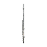 Di Zhao DZ 100COA Student Flute - Mint, Open Box