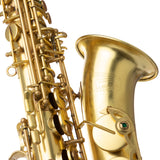 Lupifaro Platinum Series Alto Saxophone - Vintage