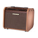 Fishman Loudbox Mini Charge 60-Watt Acoustic Instrument Amplifier - New