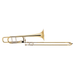 Bach 36BO Stradivarius Professional Model Tenor Trombone Outfit - New