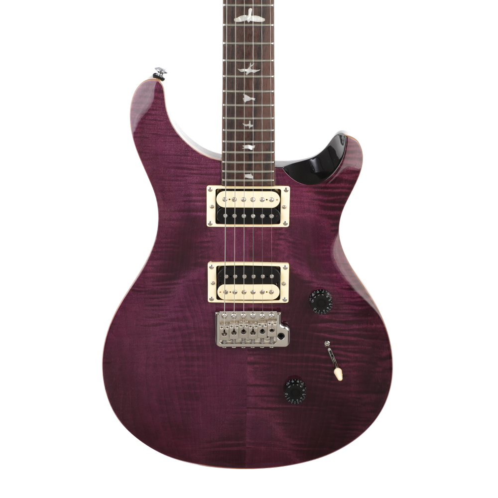 PRS SE Custom 24 - Limited Edition Amethyst, Black Back – Chuck