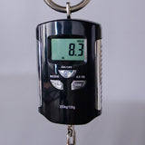 Brubaker Custom Shop NBS-4 Headless Electric Bass Guitar - Purple Haze - #033-24