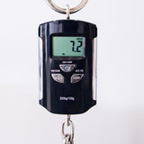 Peavey Adrian Vandenberg Signature Electric Guitar - Purple Flame Maple