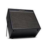 HeadRush FRFR-12 CAB Full-Range Flat-Response 12-Inch Guitar Amp Cabinet with Bluetooth