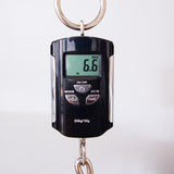 Novo Guitars Miris J Semi-Hollowbody Electric Guitar - Bonfire - #251348