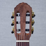 Arce AR5-1-CE-CD Walnut/Cedar Acoustic Electric Cedar - #0122