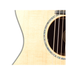 Breedlove Pursuit Exotic Concert CE Acoustic Electric Guitar - Sitka-Ziricote - New