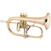 C.G. Conn 1FR B-Flat Flugelhorn Outfit