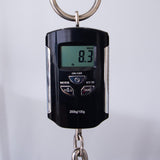 ESP E-II SN-II Electric Guitar - Blue Natural Fade - #ES5490243