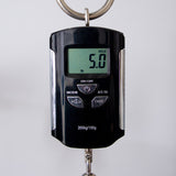 Taylor Limited Edition 414ce Rosewood/Sitka Spruce Acoustic Electric Guitar - Trans Red Top - #1206083127