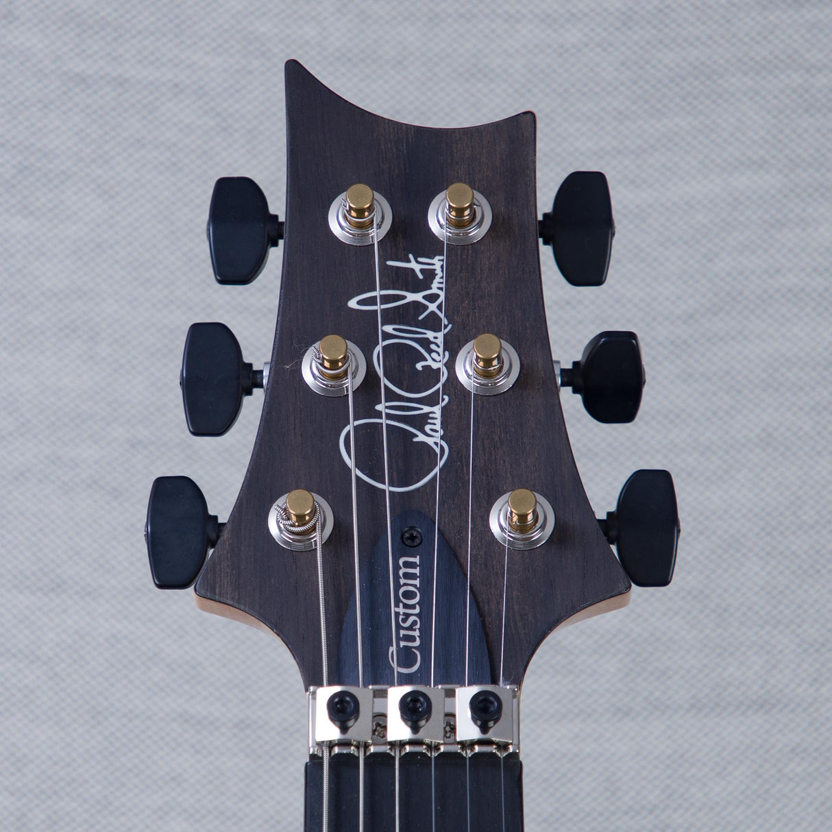 PRS Custom 24 Floyd 10-Top Electric Guitar - Aurora Borealis - #250407026