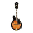 Ibanez M522SBS F-Style Mandolin - Brown Sunburst High Gloss
