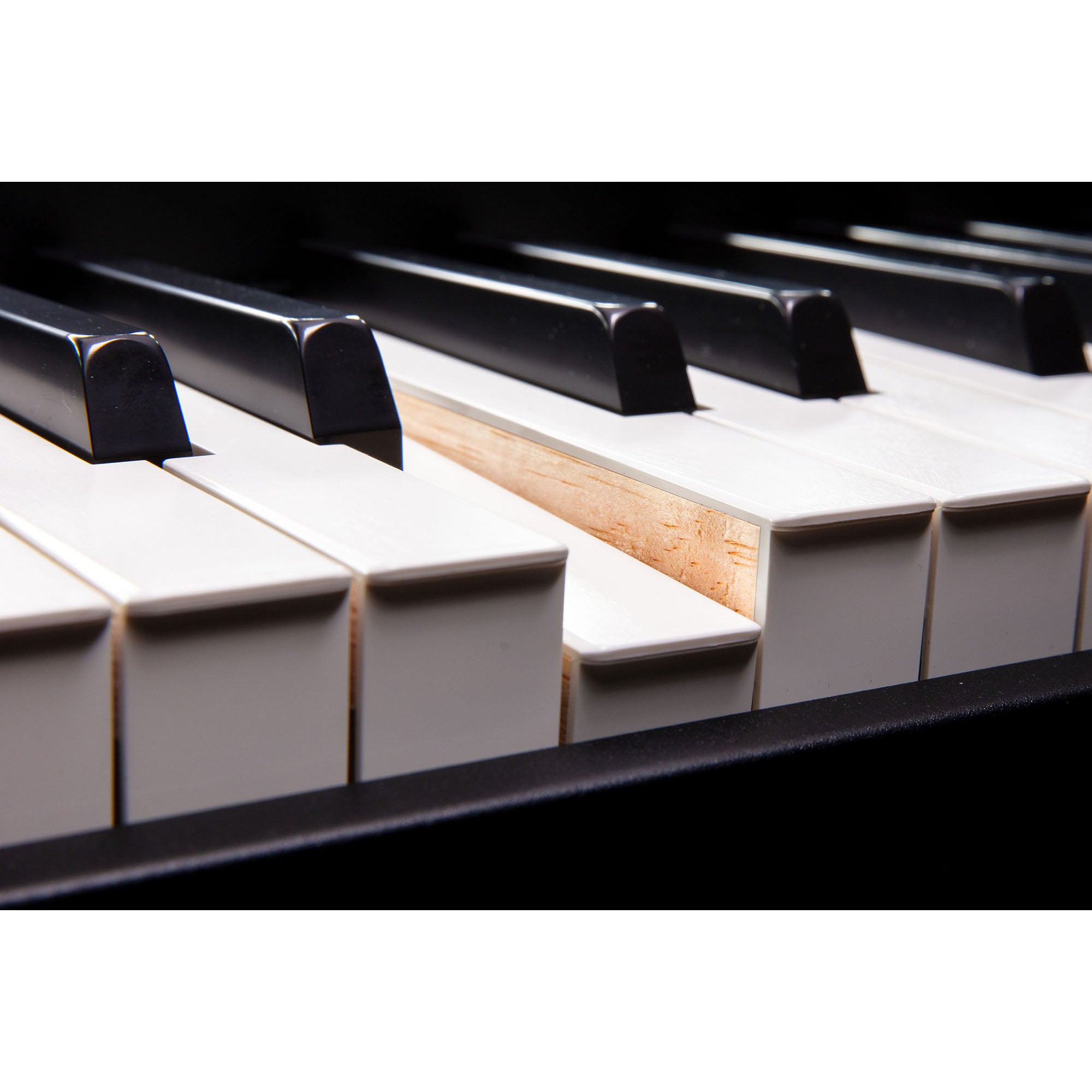 Roland Fantom 8 EX 88-Note Synthesizer – Chuck Levin's Washington