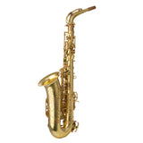 Lupifaro Platinum Series Alto Saxophone - Vintage