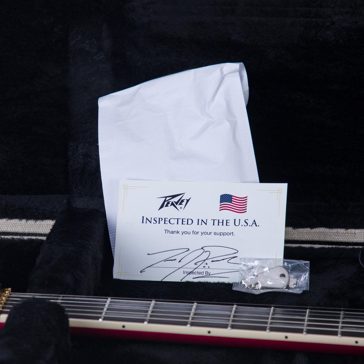 Peavey Adrian Vandenberg Signature Electric Guitar - Purple Flame Maple