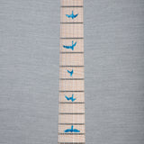 PRS Private Stock Special Semi-Hollow Electric Guitar - Sub Zero Glow - #0384576