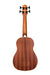 Kala Uâˆ™BASS-PSGR-FS Passenger Acoustic Electric Fretted Uâˆ™Bass