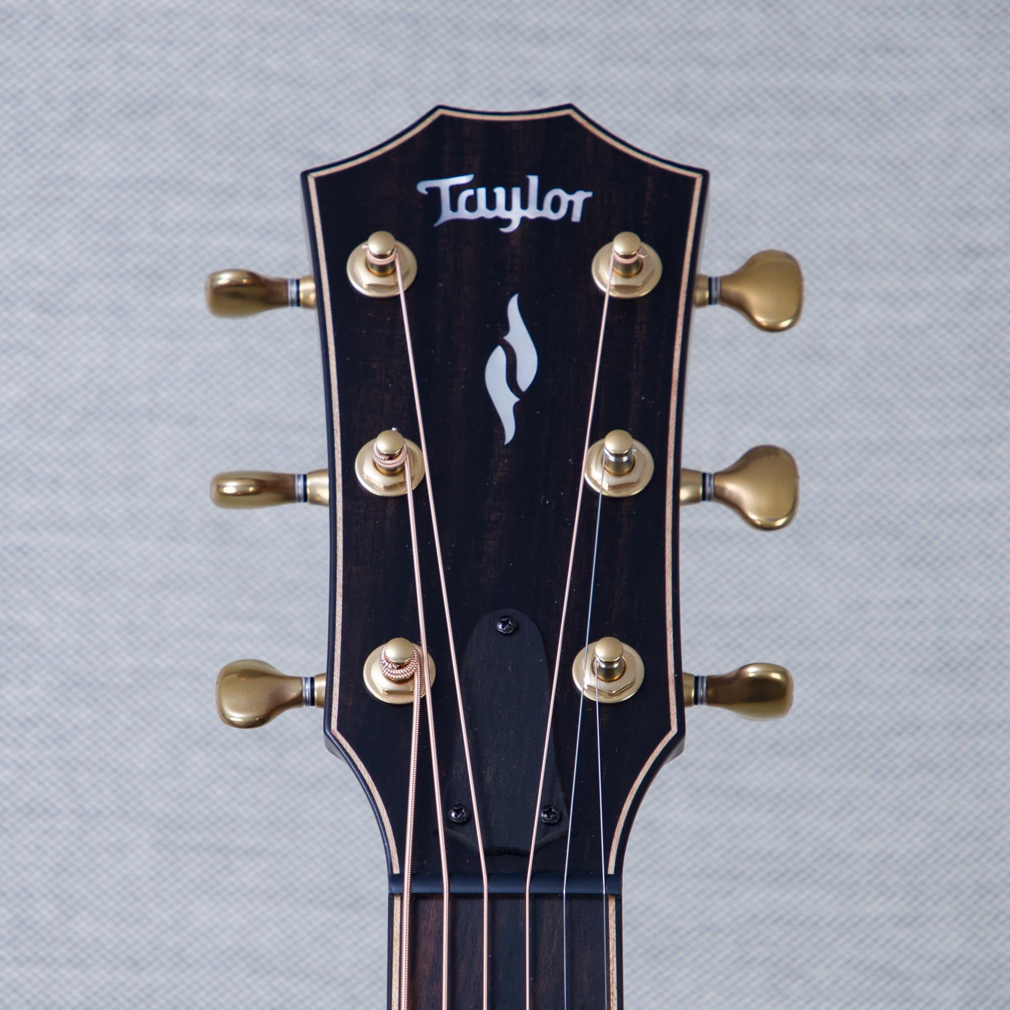 Taylor Limited Edition Builder's Edition 814ce Adirondack Spruce