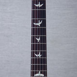 PRS Custom 24 10-Top Solid Body Electric Guitar - Aurora Borealis - #0410980