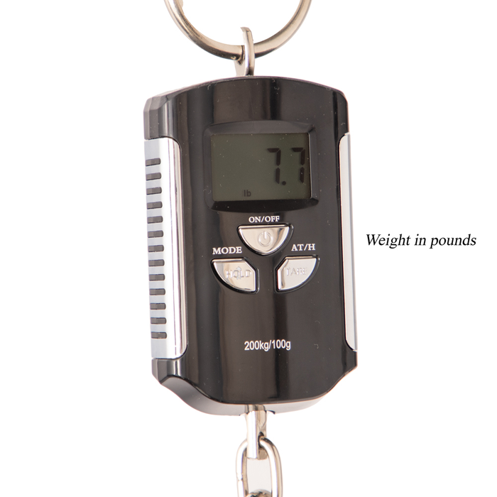 SR300 Series Gram Scale