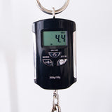 Taylor Custom GT 811e Acoustic Guitar - #1206292031