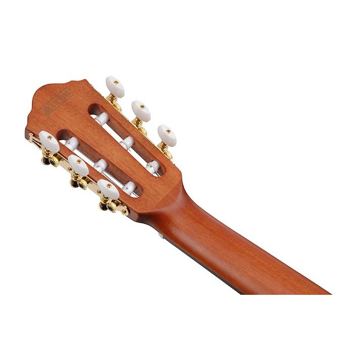Ibanez FRH10N Acoustic Guitar - Rose Gold Metallic Flat – Chuck