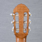 Arce WT-ES-200-PPK Walnut/Engelman Spruce Acoustic Electric Requinto - #00112