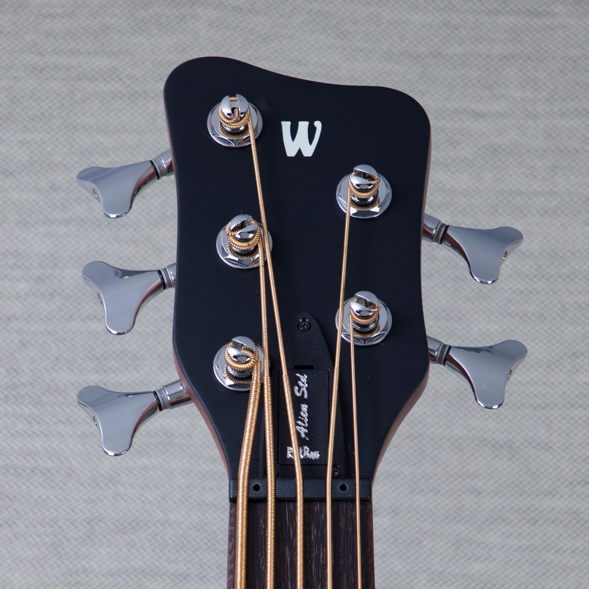 Warwick RockBass Alien Standard 5-String Acoustic Electric Bass
