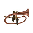 Taylor Phat Boy Bb Flugelhorn - Brushed Copper Bell, Raw Brass - Demo