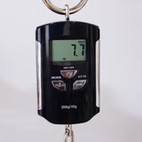 PRS S2 10th Anniversary Custom 24 Electric Guitar - Eriza Verde - #24S2070899