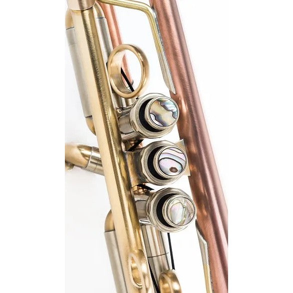 Lotus Solo Max Bb Trumpet