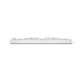 Novation Launchkey 61 MK4 61-Key MIDI Keyboard Controller - White