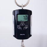 PRS S2 Vela Custom Color Electric Guitar - Walnut - #25S2079285