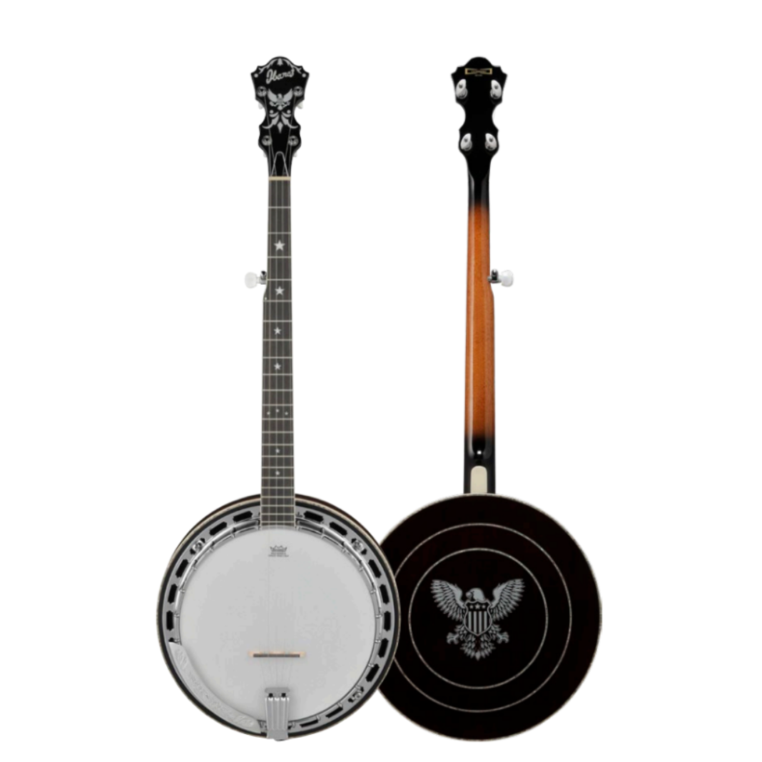 Ibanez Limited Edition BA250 Banjo – Chuck Levin's Washington
