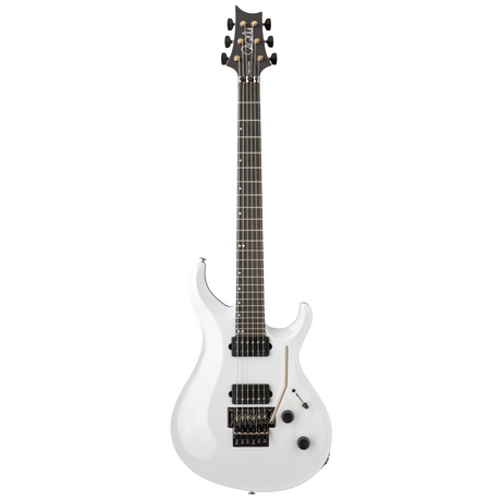 PRS Tekton "Floyd" Electric Guitar with Black Satin Neck - White Holoflake