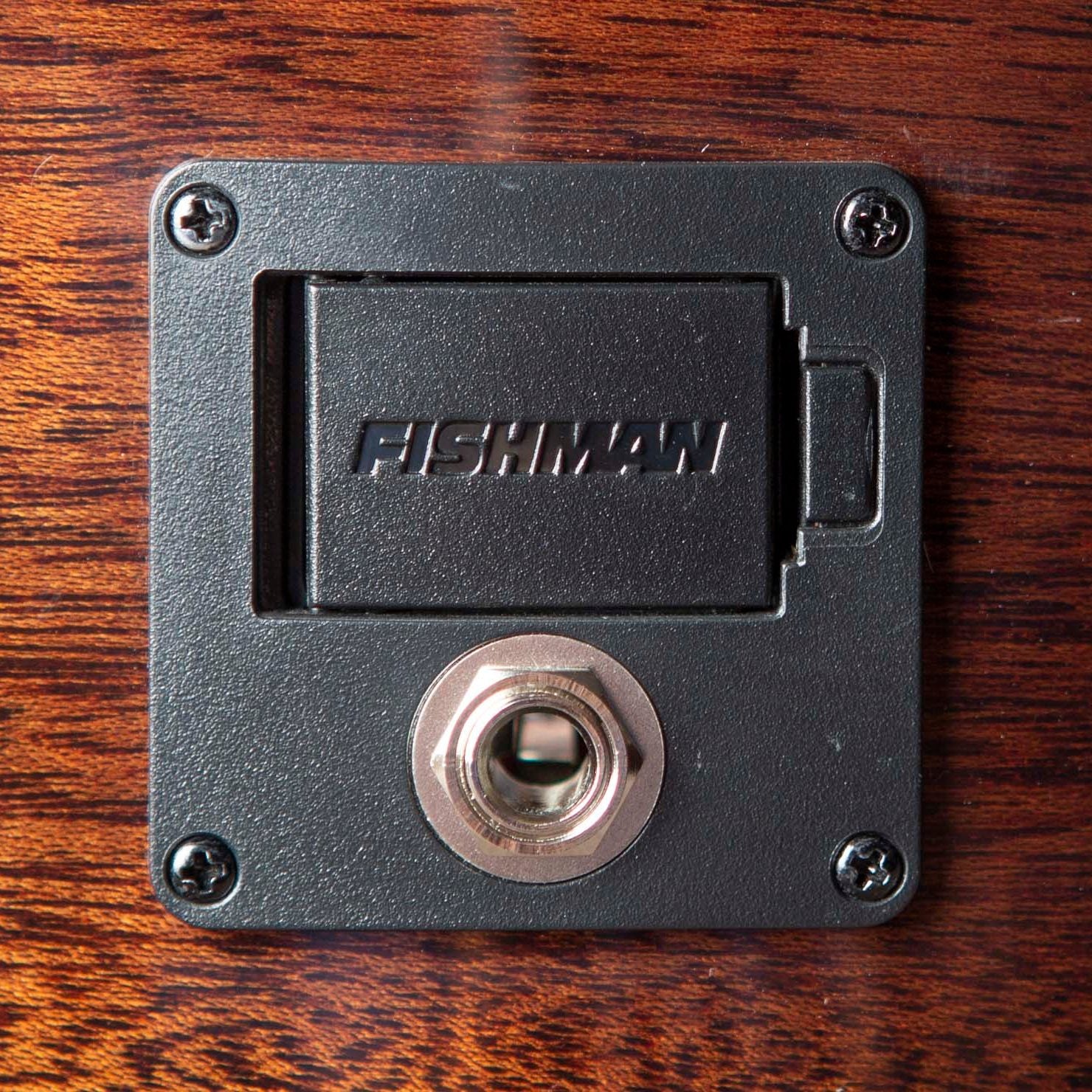 Breedlove Wildwood Pro Series Dreadnought Concerto Acoustic