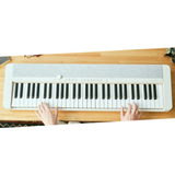 Casio CT-S1 Portable Digital Piano - White