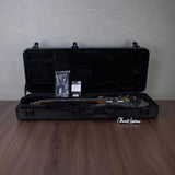 PRS Custom 24 Piezo 10-Top Solid Body Guitar - Aurora Borealis - #250403191