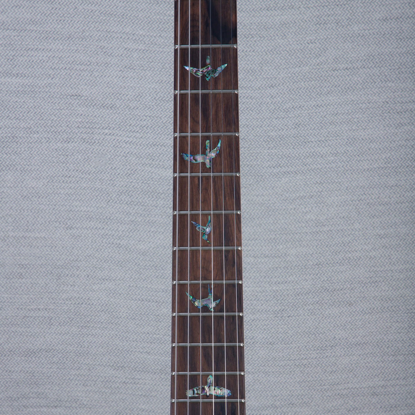 PRS Wood Library DGT Electric Guitar - Private Stock Bahamian Blue Finish - CHUCKSCLUSIVE - #240385597 - 2024