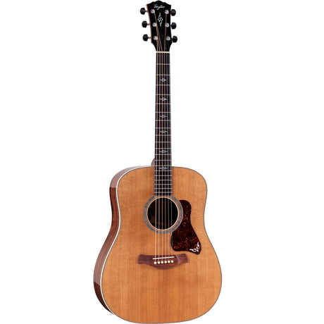 Taylor Gold Label 810e Hondurn Rosewood/Sitka Spruce Acoustic Electric Guitar